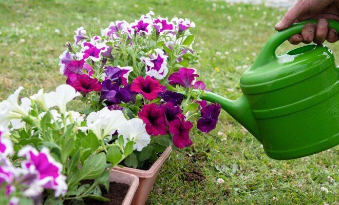 Ссылка на изображение: https://i.pinimg.com/736x/5b/ed/5e/5bed5ea0283cd11bcf4df9b47b5a5634.jpg