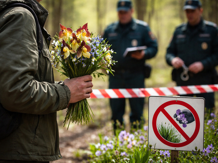     фото: изображение сгенерировано нейросетью