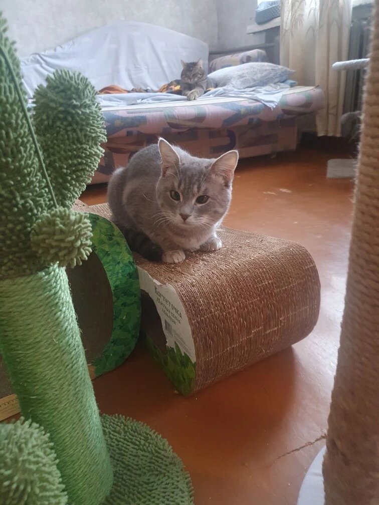 Всё жду и верю, что МОЙ человек меня обязательно найдёт