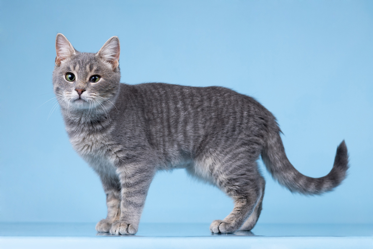 Вот он я, во всей красе, только чутка подрос ещё)