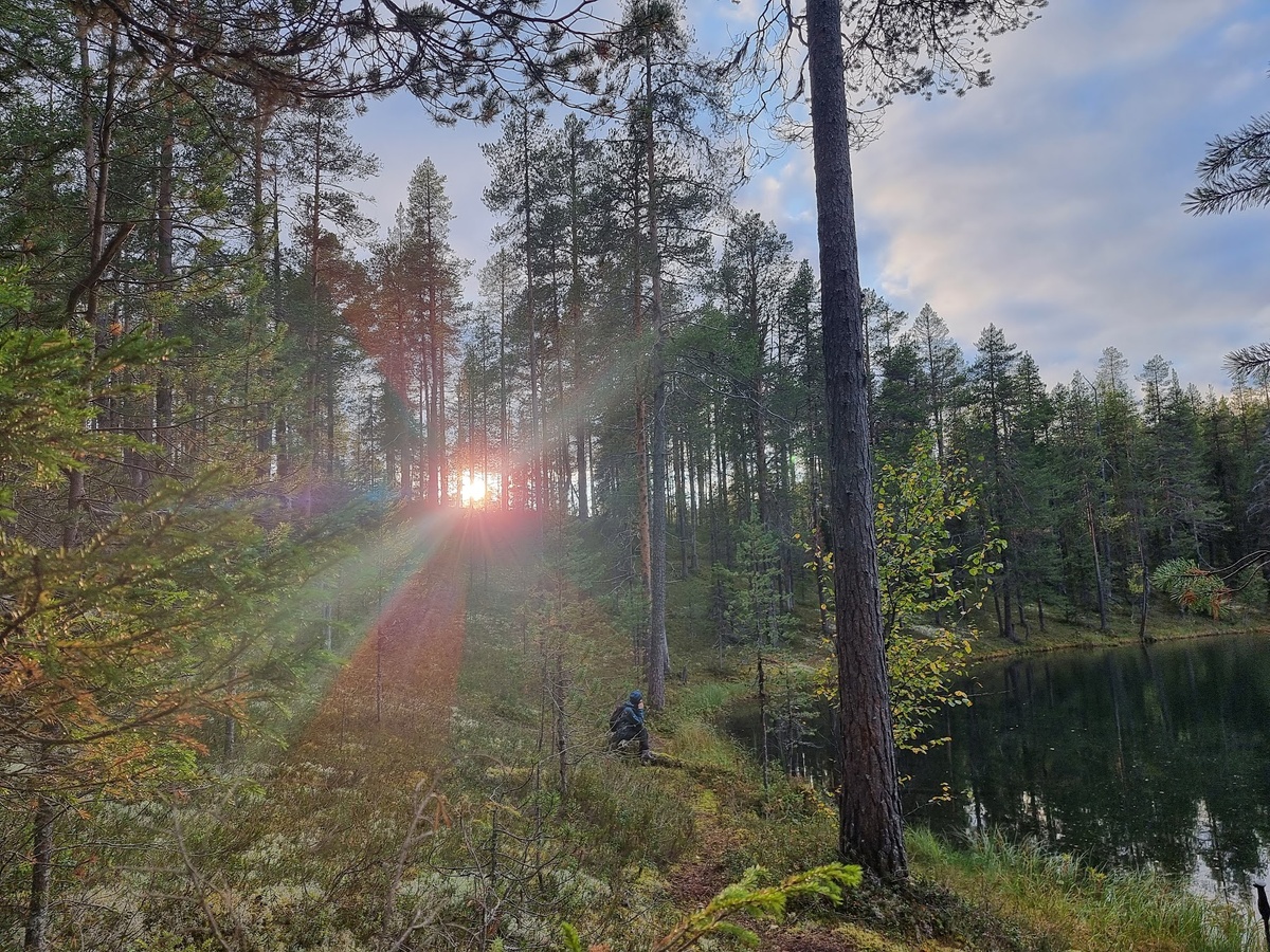 На бирюзовой ламбинке