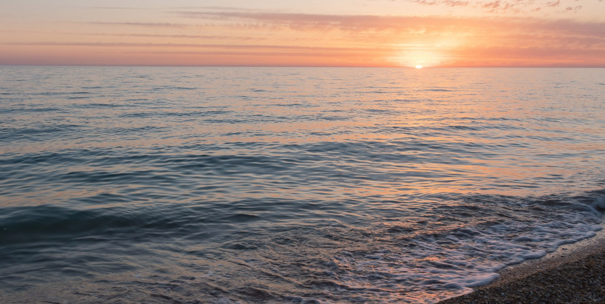 Берег Азовского моря