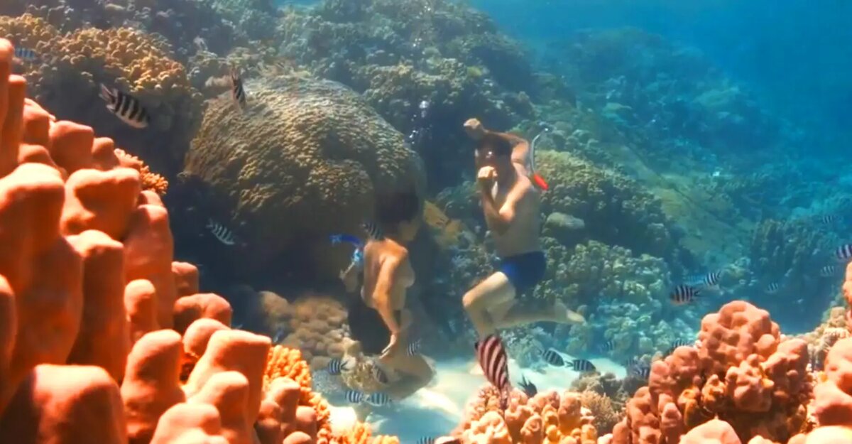   Под водой. Кадр из фильма "Голограмма для короля"