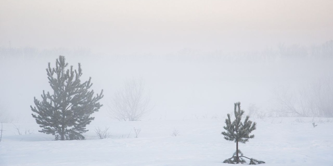 Начало весны часто с утренним туманом