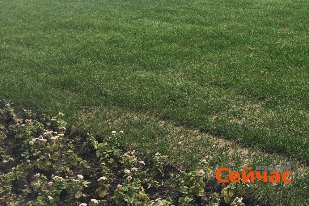    Фото: ИА "Нижний сейчас" Иван Воробьев