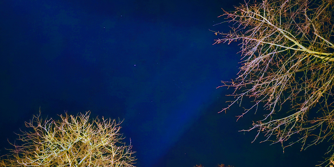 Эволюция сознания в нашей части Вселенной. Духовное значение исследования Космоса. Е.И. Рерих о сознании на Венере