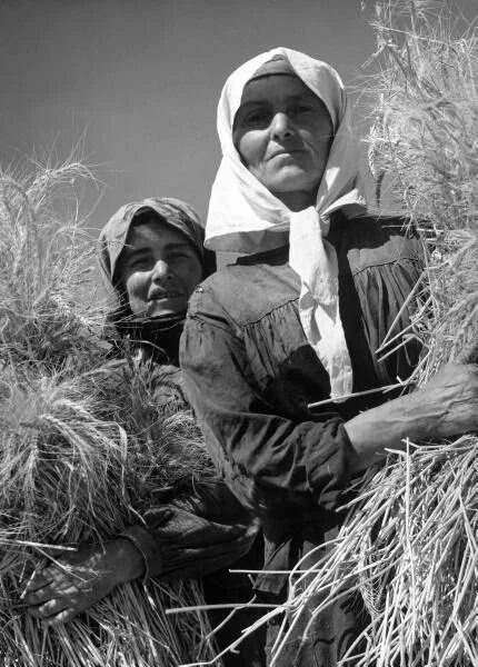 Взято из открытых источников интернета Яндекс