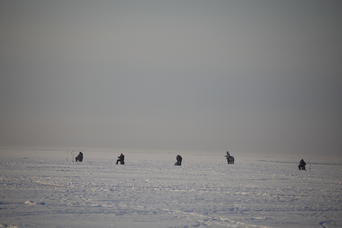    Жанровое фото. Фото: Мойка78/Валентин Егоршин