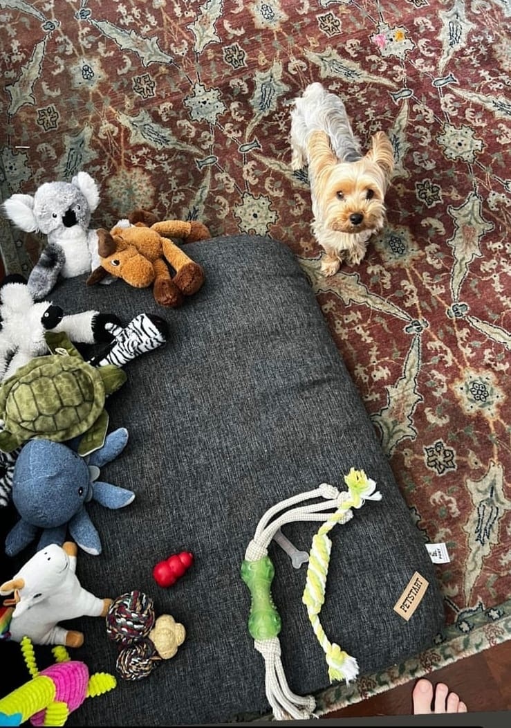 Сторис Керема Бюрсина от 24.07.2022г.