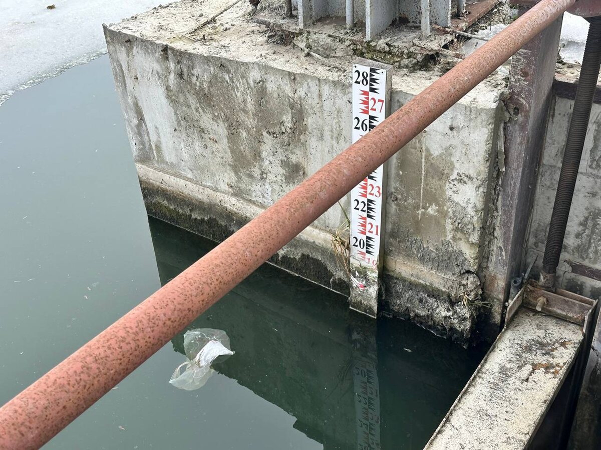    Фото: пресс-служба администрации