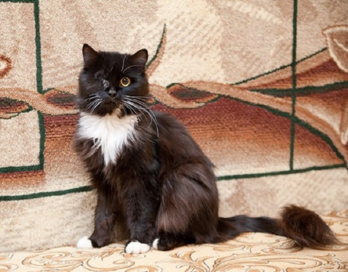 Спаситель Томас