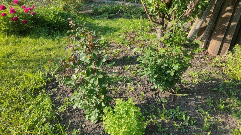    Фото: ПроГород