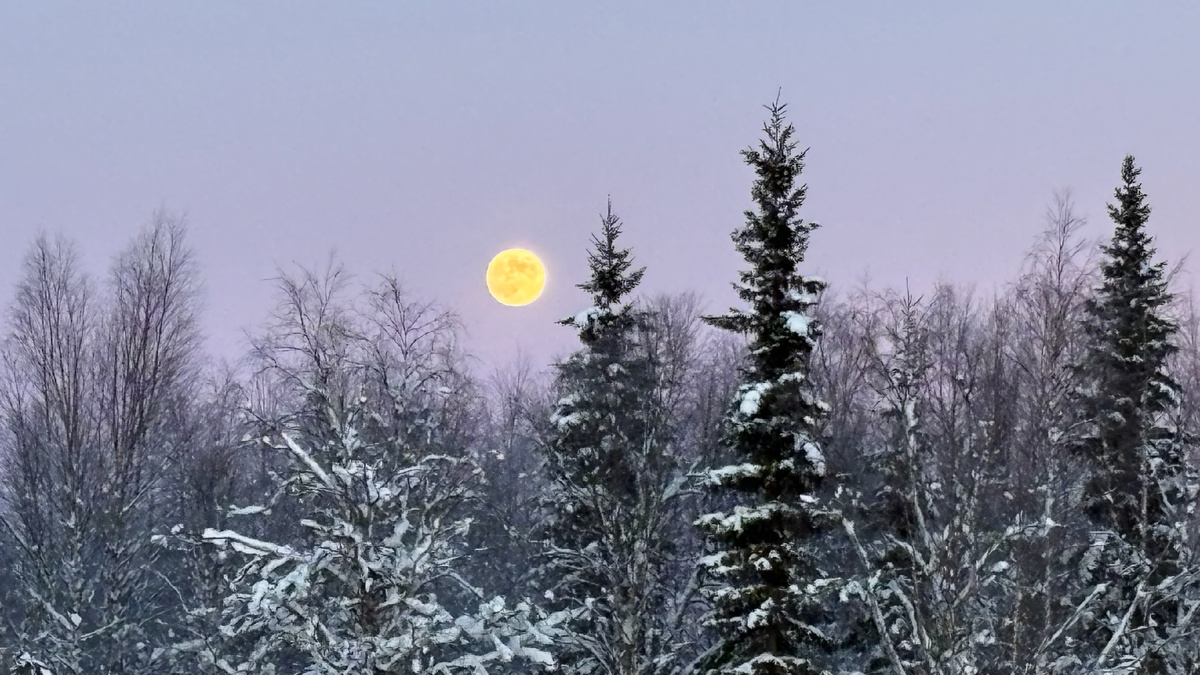 Полнолуние над Вартиолампи