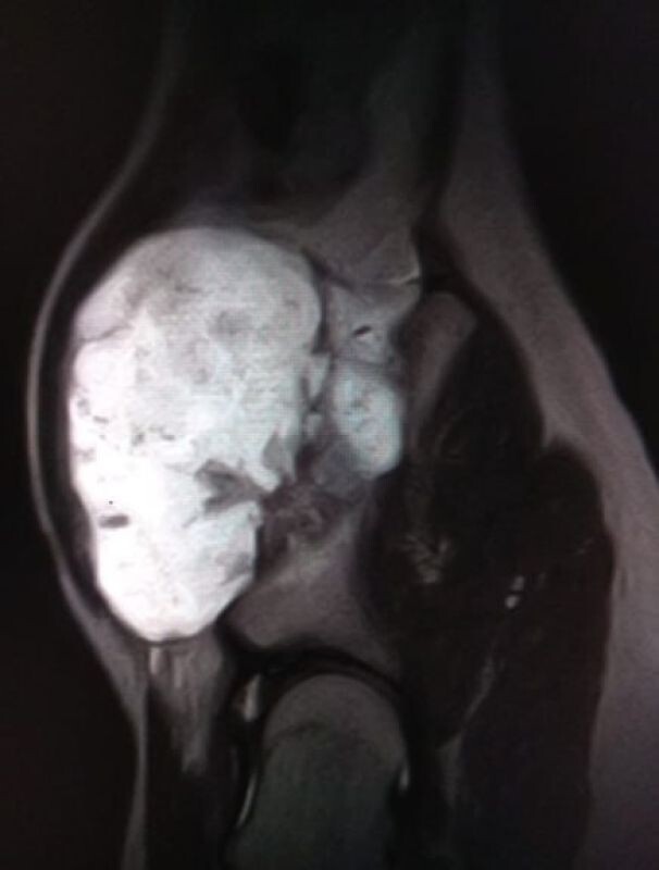    Фото: Минздрав Воронежской области