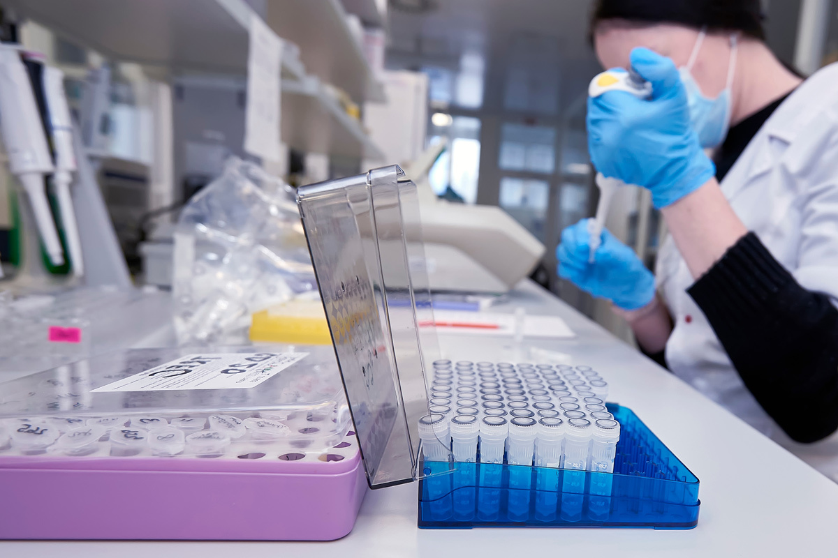    Фото: Vital Hil / Shutterstock.com