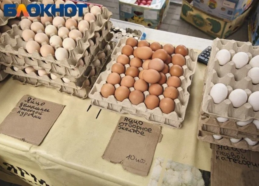 Фото: «Блокнот Краснодар"