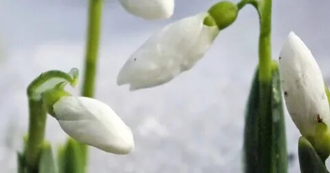 Местами туман, без осадков и до +14°С: погода в Беларуси 18 марта