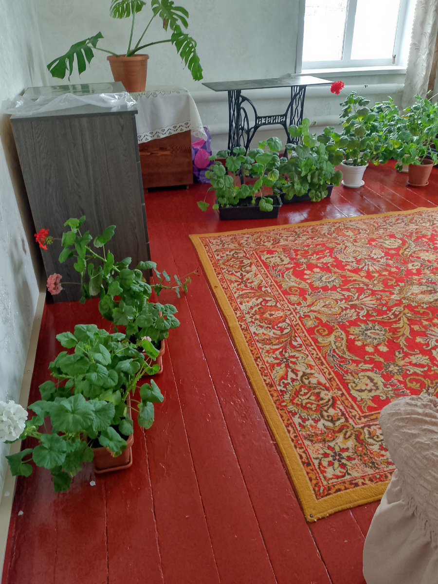 Чистые цветы