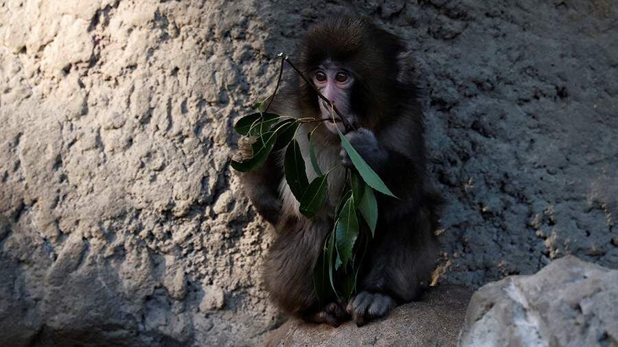    Фото: REUTERS/Kim Kyung-Hoon