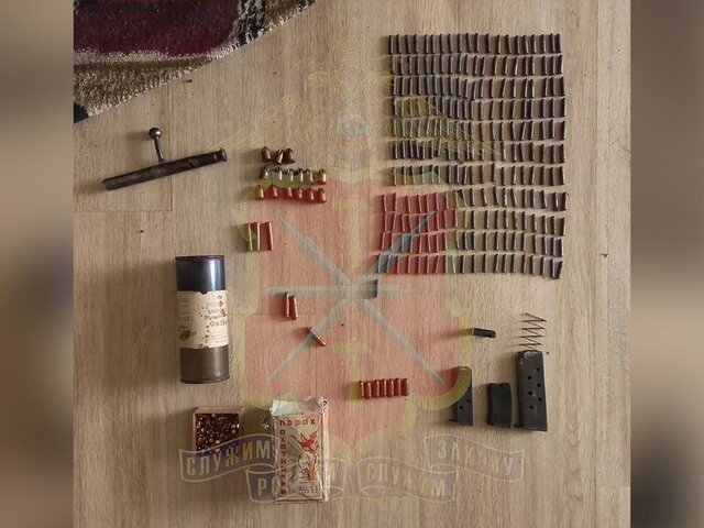    Фото: MAX/"Полиция Тульской области"