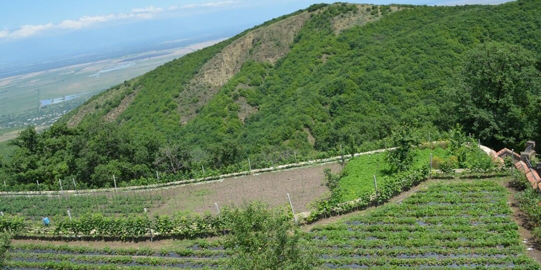 В России упростят перевод сельхозземель под объекты туризма