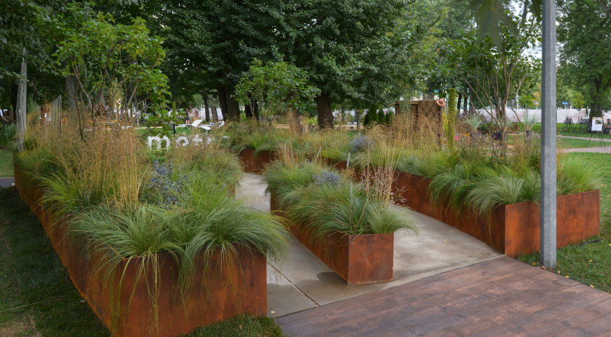 Выставочный сад - "Похороны Мух" - автор: Александра Липкина 2024 год