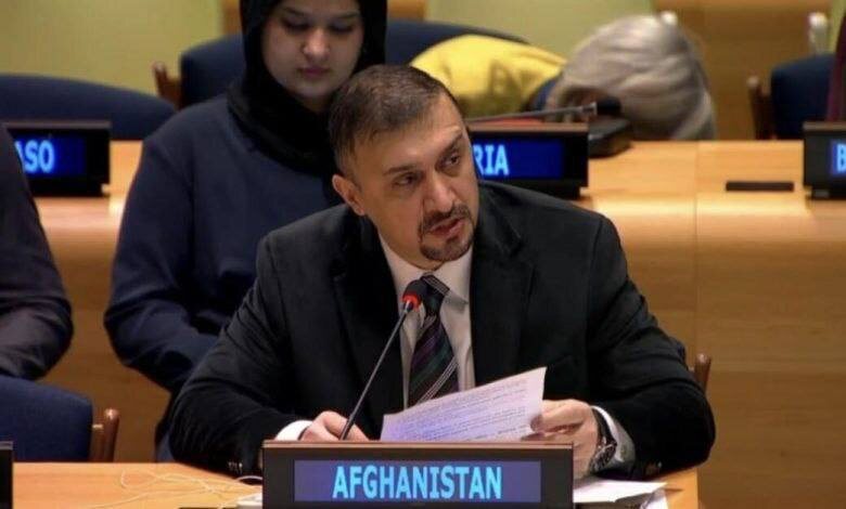 Фото : Atlas press (Атлас пресс)
