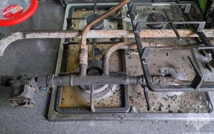 Иллюстрация: ГУ МЧС РФ по РО
