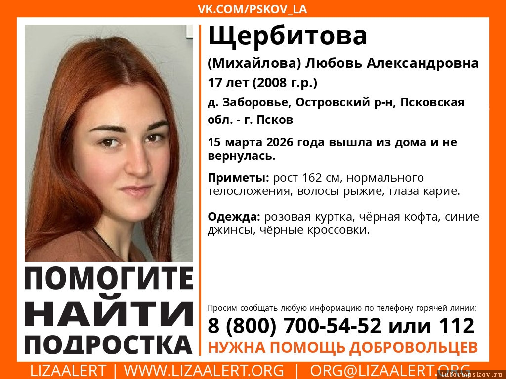 Фото из группы поисково-спасательного отряда «ЛизаАлерт. Псковская область» в соцсети «ВКонтакте»