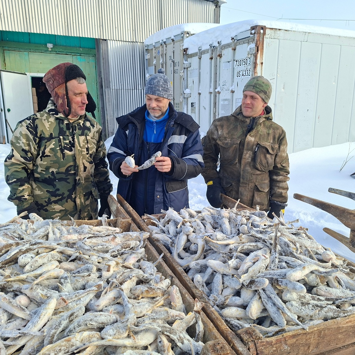    фото: © пресс-служба ВНИРО