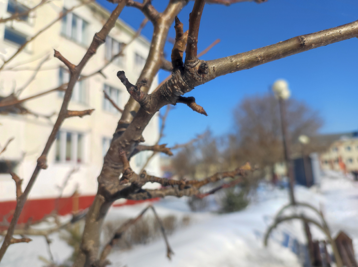 Фото автора 