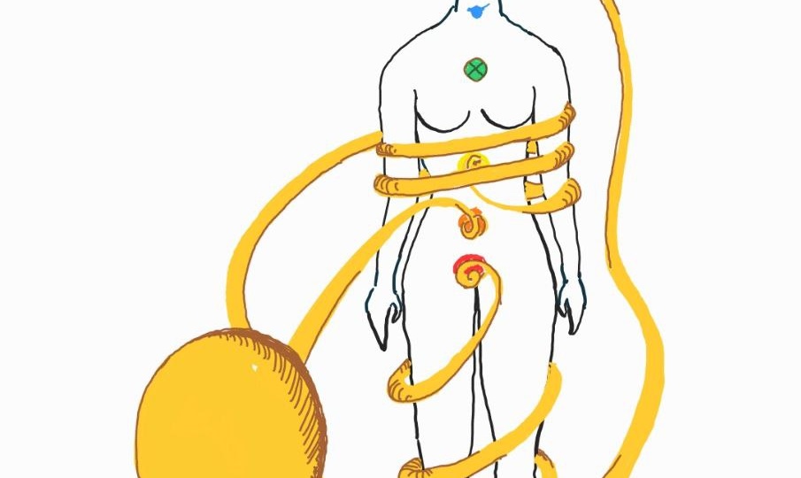 Чистка: как осьминогоподобные могут быть связаны с сексом