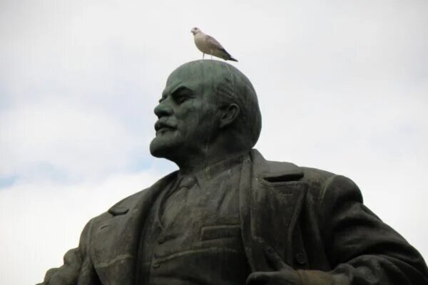 фото: Юлия Елфимова/ГлагоL