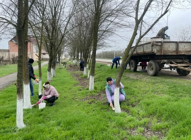   Фото: пресс-служба администрации Будённовского округа Кира Лютова