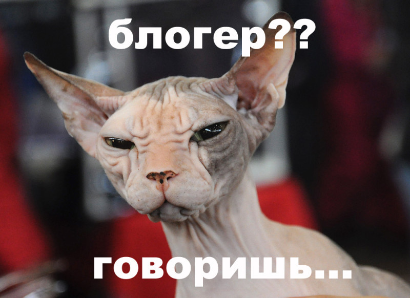 Источник: think-head.livejournal.com