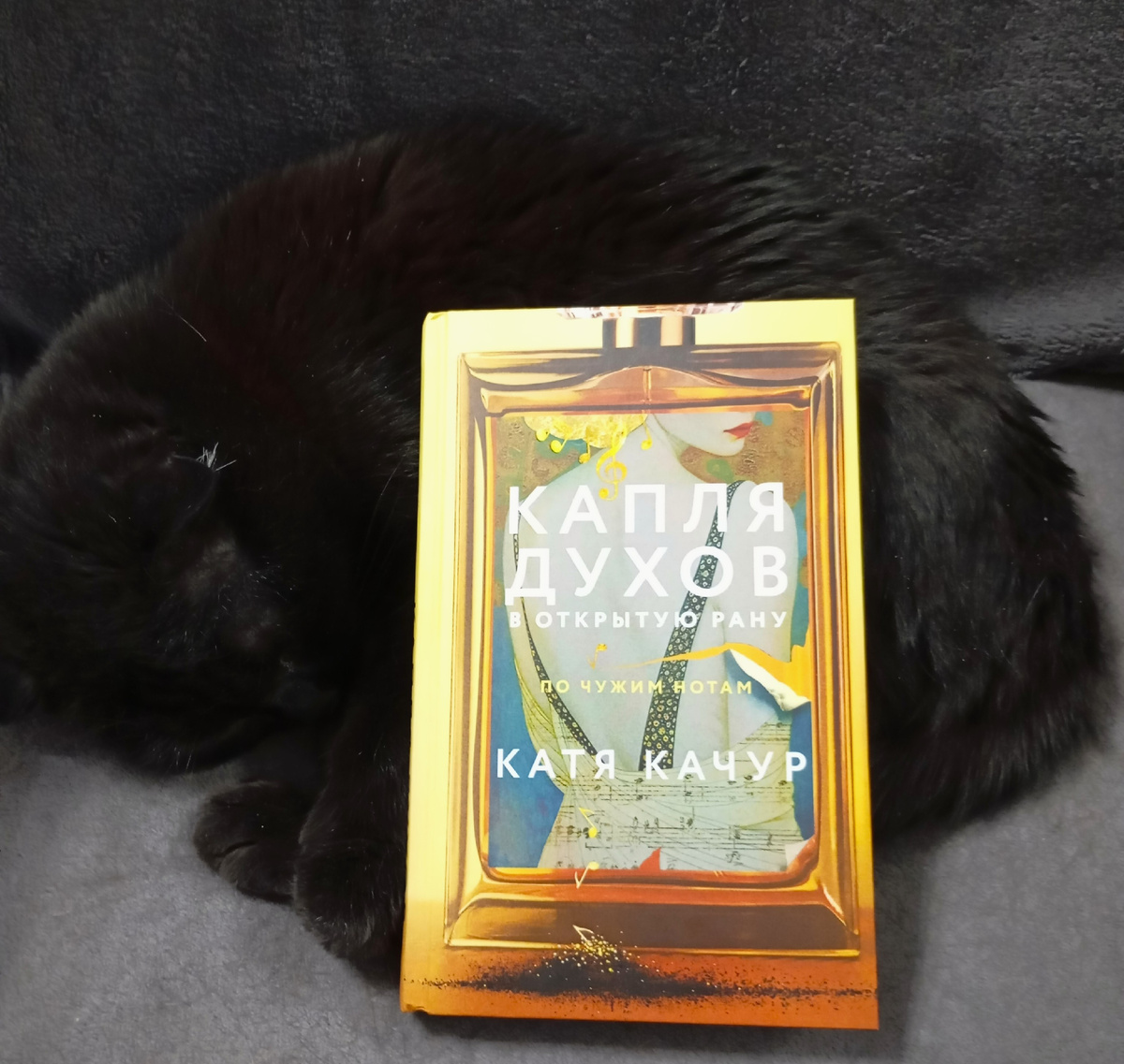 Фотография автора