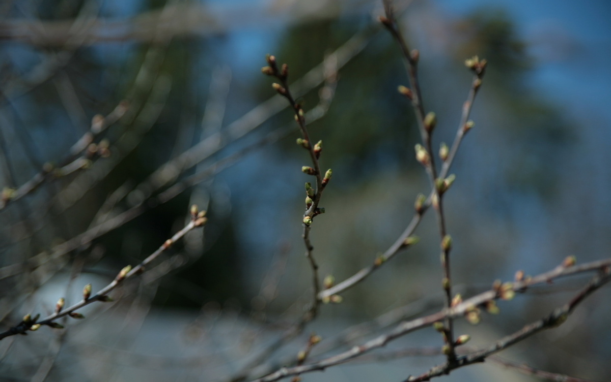    Погода в Ижевске на день: 18 марта ждем солнце и до +12°С