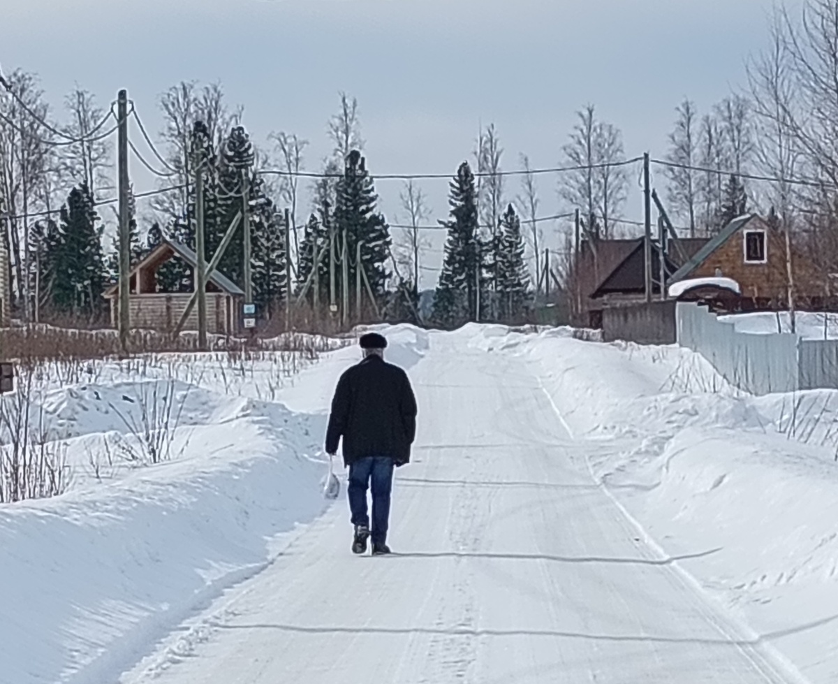 Фото автора.