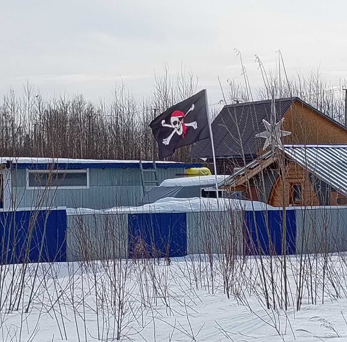 Фото автора.