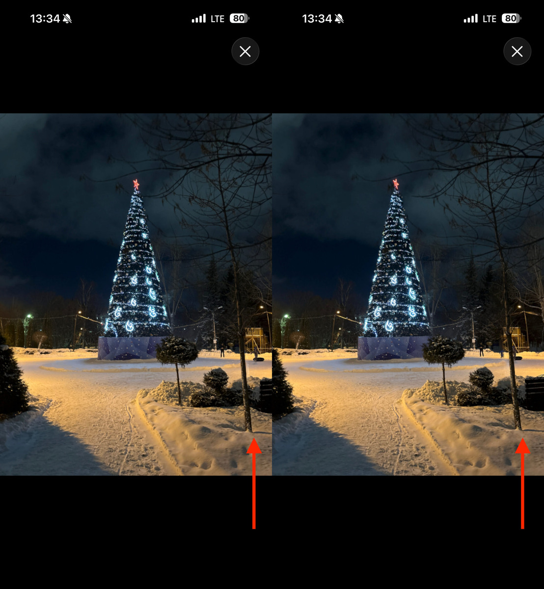    По дереву видно, как смещается задний план в зависимости от наклона смартфона