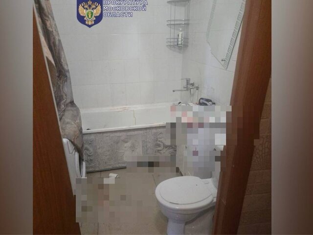    Фото: телеграм-канал "Прокуратура Московской области"