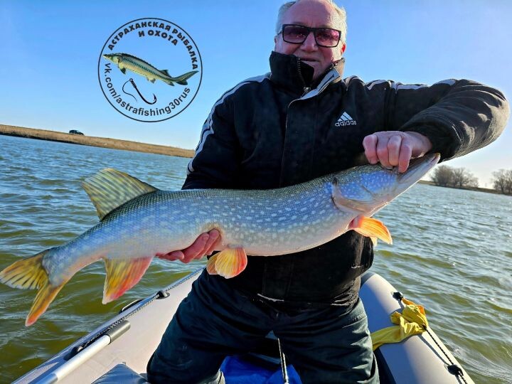 Рыбаки ждут ход рыбы с Каспийского моря в Волгу