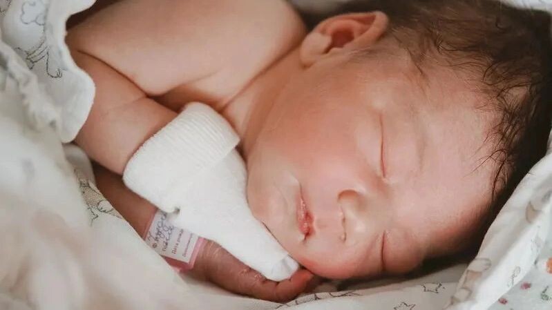    Фото: Юлия Чудинова / «Ямал-Медиа»