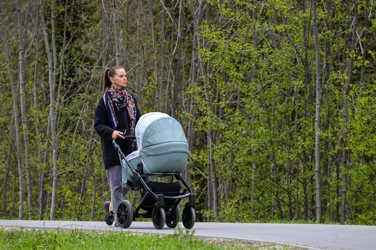    Сад Памяти Героев в Петрозаводске. Фото: "Республика"/Сергей Юдин