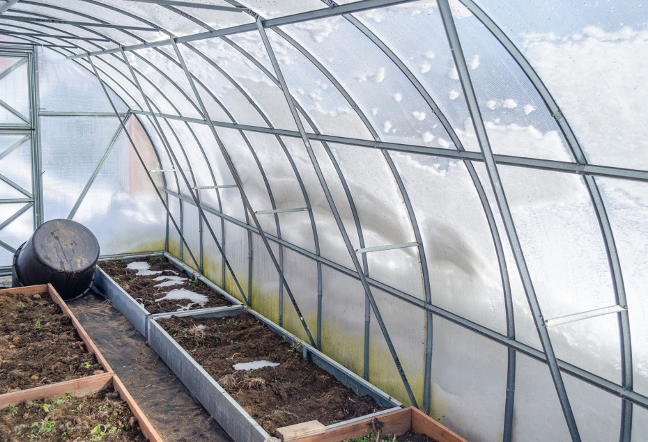    Shutterstock/FOTODOM