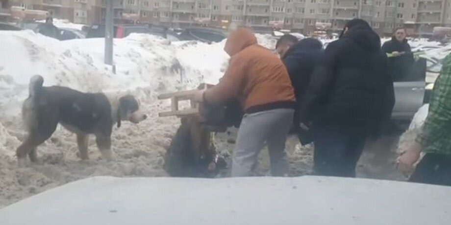    Фото: телеграм-канал Балашиха Life