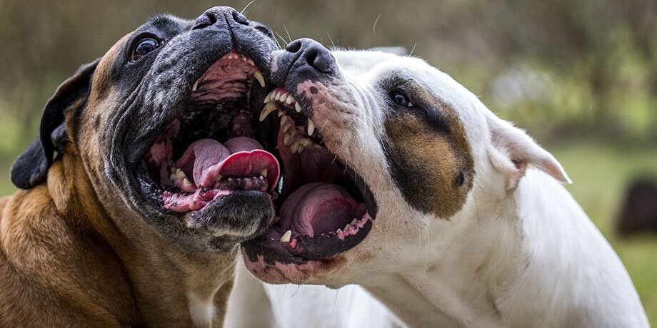    Фото: depositphotos/MarcinSl1987