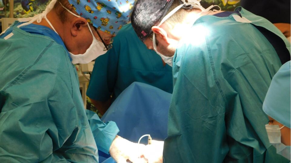    Операция. Источник: Алтайский краевой онкодиспансер