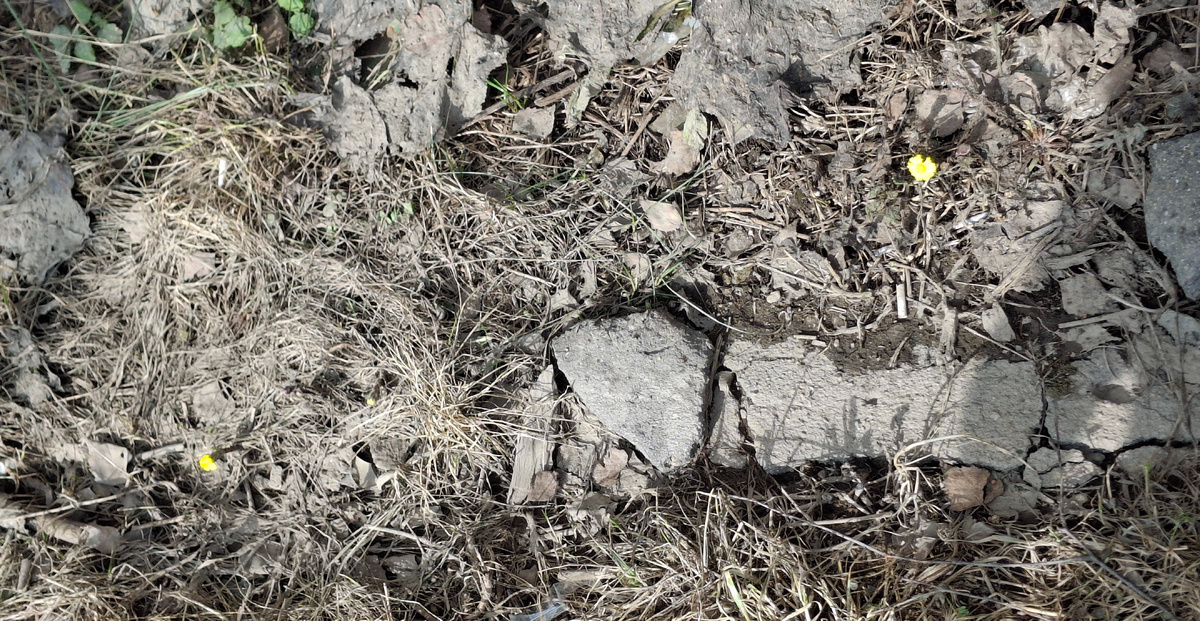 Фото автора канала