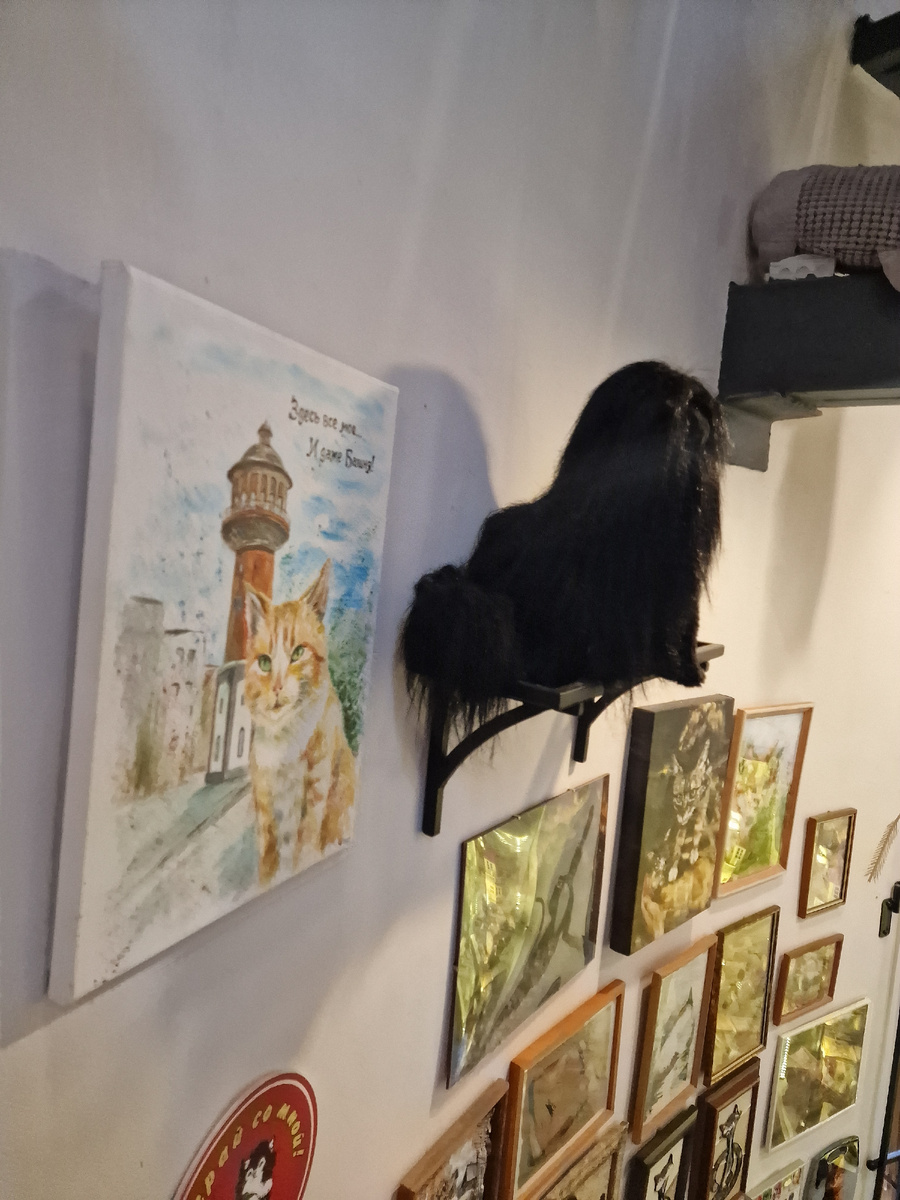 фото автора: внутри